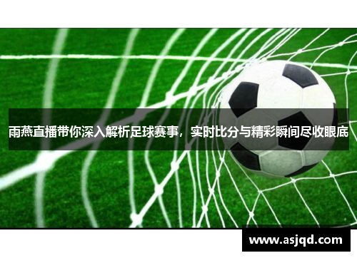 雨燕直播带你深入解析足球赛事，实时比分与精彩瞬间尽收眼底